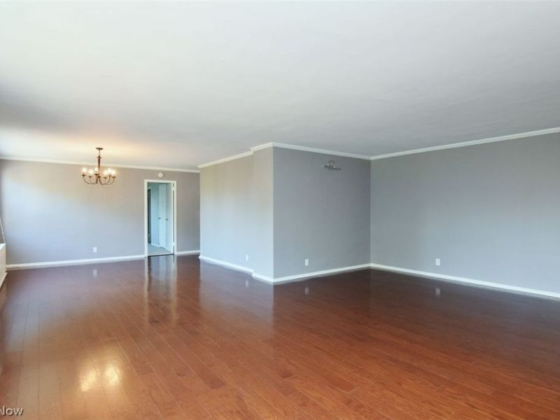 19101 Van Aken Boulevard, Unit 501, Shaker Heights, OH 44122 Photo 3