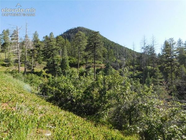 Lot 11 Cheyenne Drive, Larkspur, CO 80118