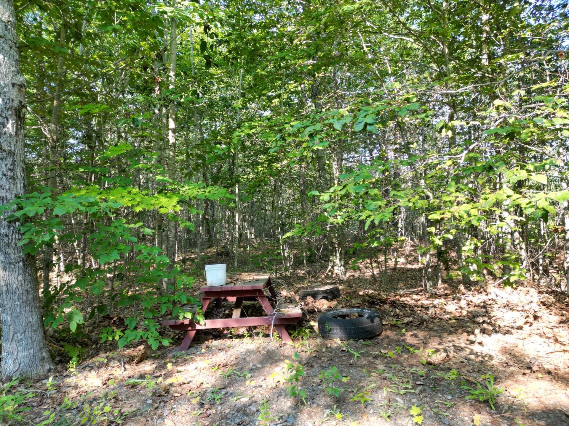 29 Spaulding Lane, Lee, ME 04455 Main Photo