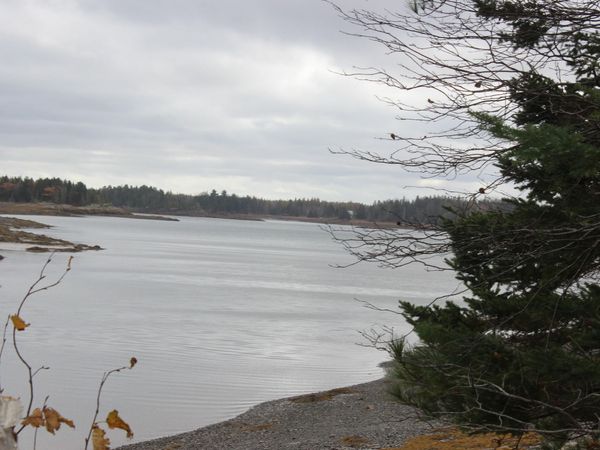 Lot #5 Hardy Point Road , Pembroke, ME 04666
