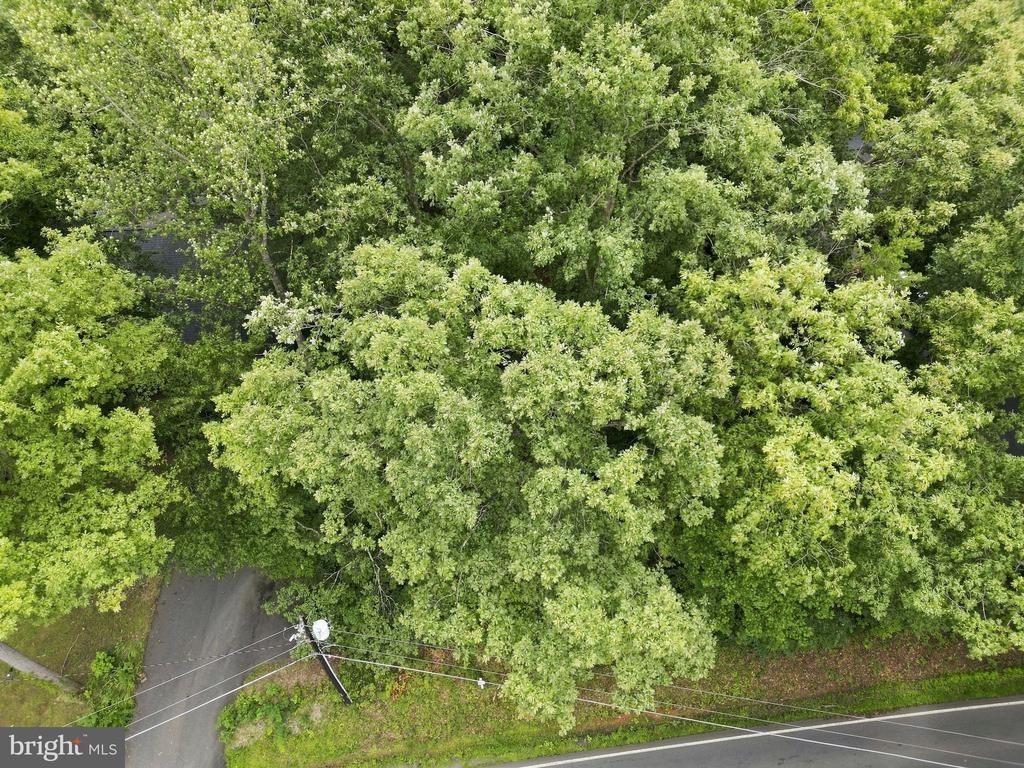4246 Lakeview Parkway, Locust Grove, VA 22508 Main Photo