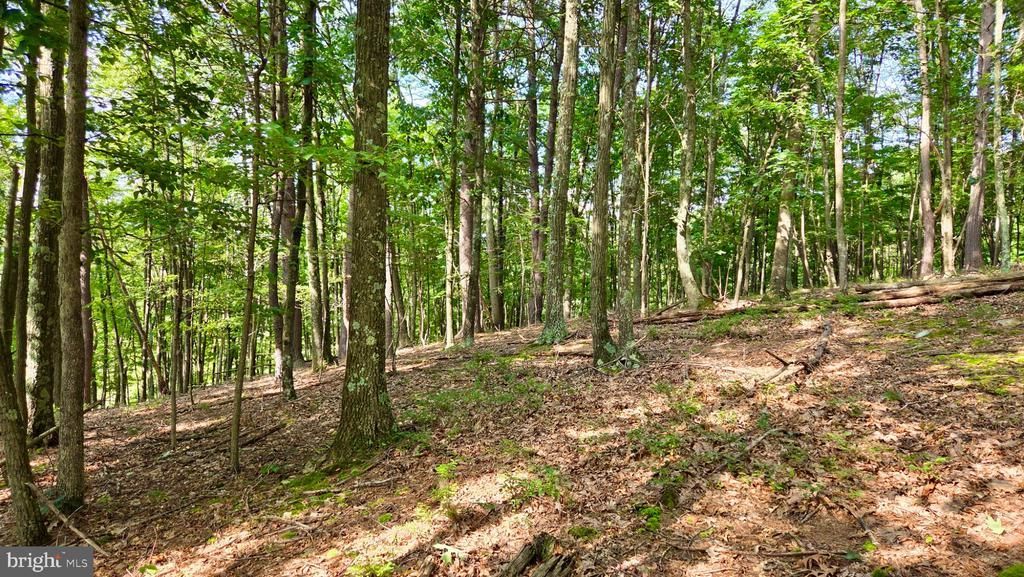 MOSQUITO ROAD , SIX MILE RUN, PA 16679