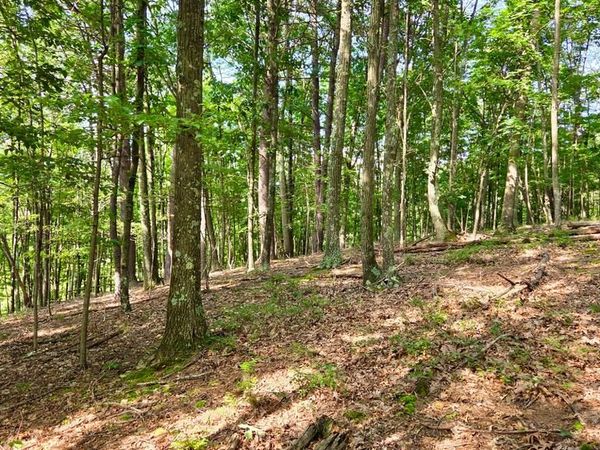 MOSQUITO ROAD , SIX MILE RUN, PA 16679