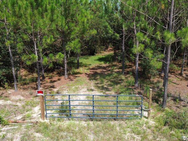 TRACT 4 Penny Morris Road, Baxley, GA 31513