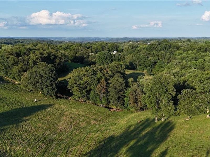44845 State Route 541 , Coshocton, OH 43812 Photo 6