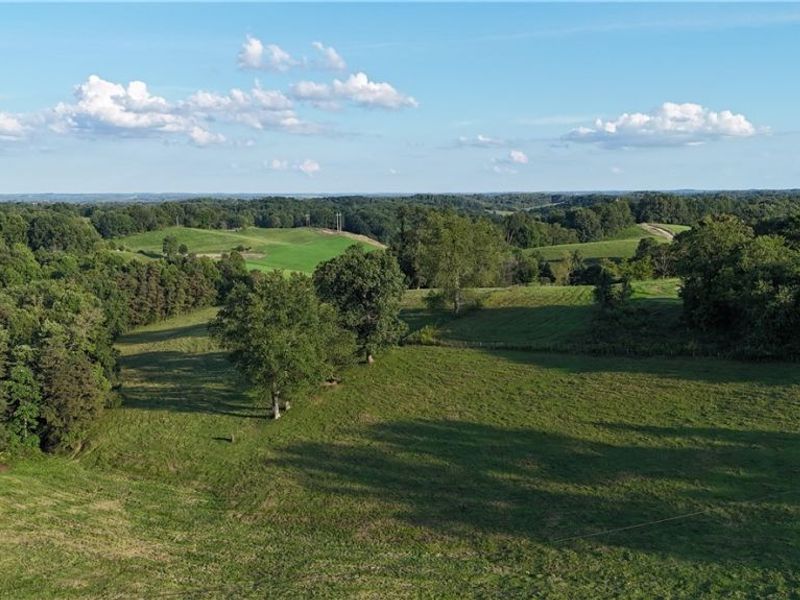 44845 State Route 541 , Coshocton, OH 43812 Photo 9