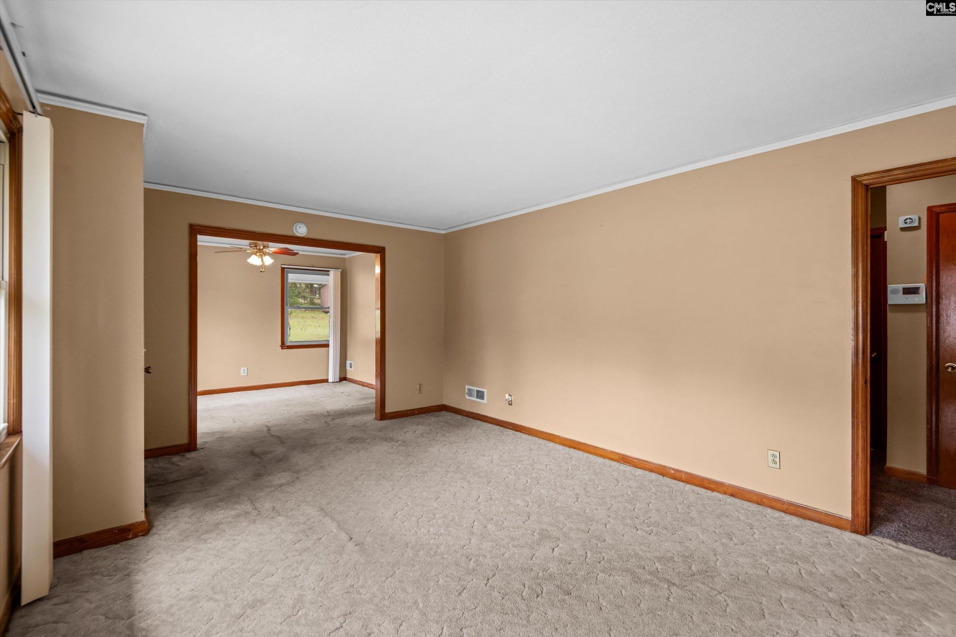 38 Delane Drive  Photo 6
