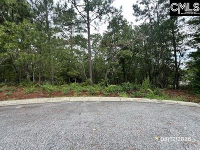 4 Lost Dog Court , Elgin, SC 29045