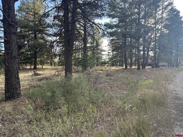 434 Twincreek Circle, Pagosa Springs, CO 81147