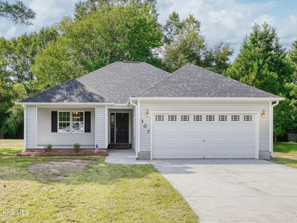 303 Big Tree Lane , Chinquapin, NC 28521