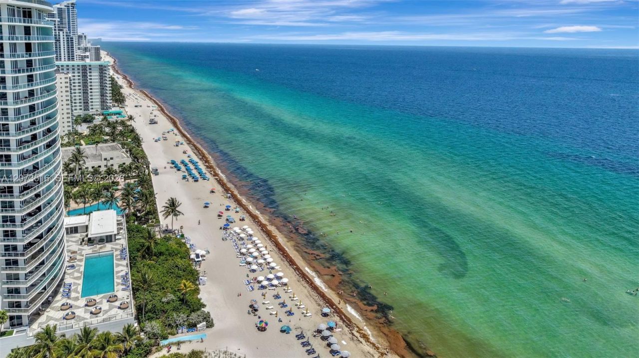 1801 S Ocean Dr , Unit 241, Hallandale Beach, FL 33009 Photo