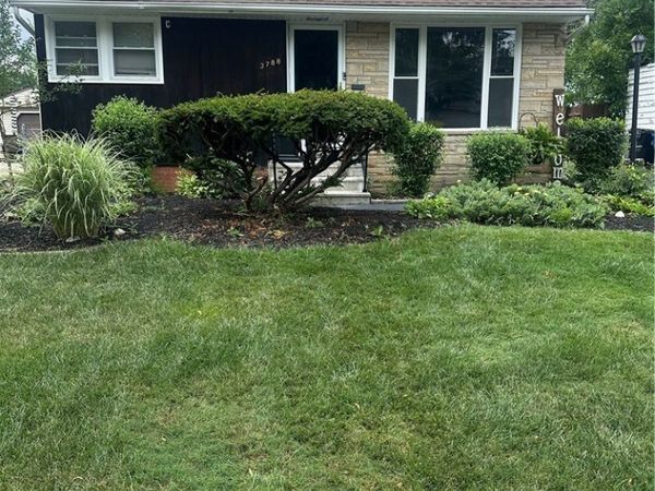 3788 Jo Ann Drive, Cleveland, OH 44122