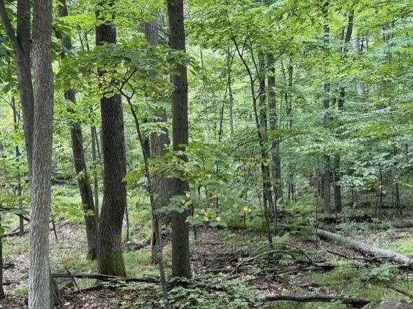 16 Acres COUNTY ROAD B, Pittsville, WI 54466