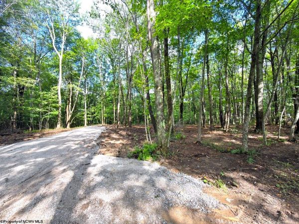 1261 Beaver Creek Drive, Bruceton Mills, WV 26525