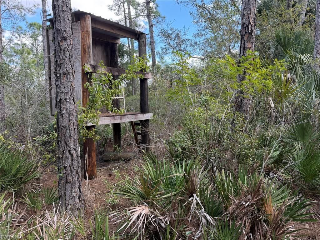 49337 Bermont Rd, Punta Gorda, FL 33982 Photo