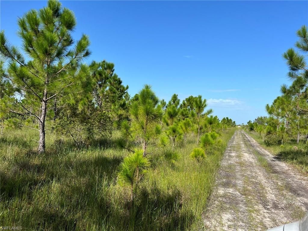 49337 Bermont Rd, Punta Gorda, FL 33982 Photo