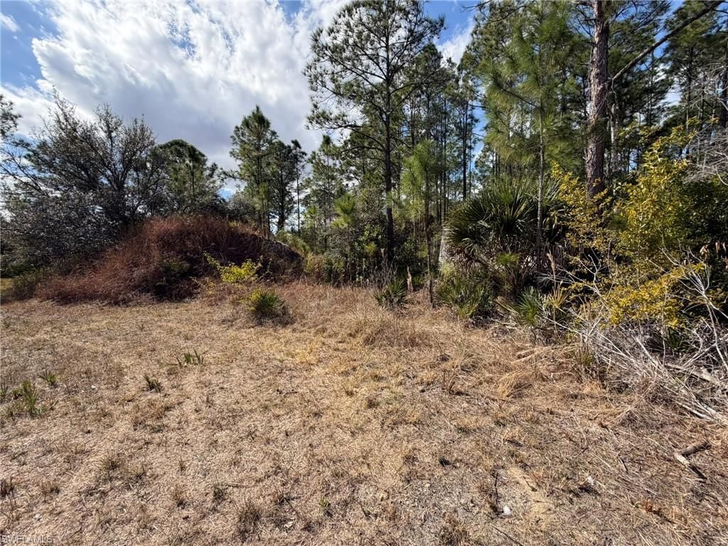49337 Bermont Rd, Punta Gorda, FL 33982 Photo