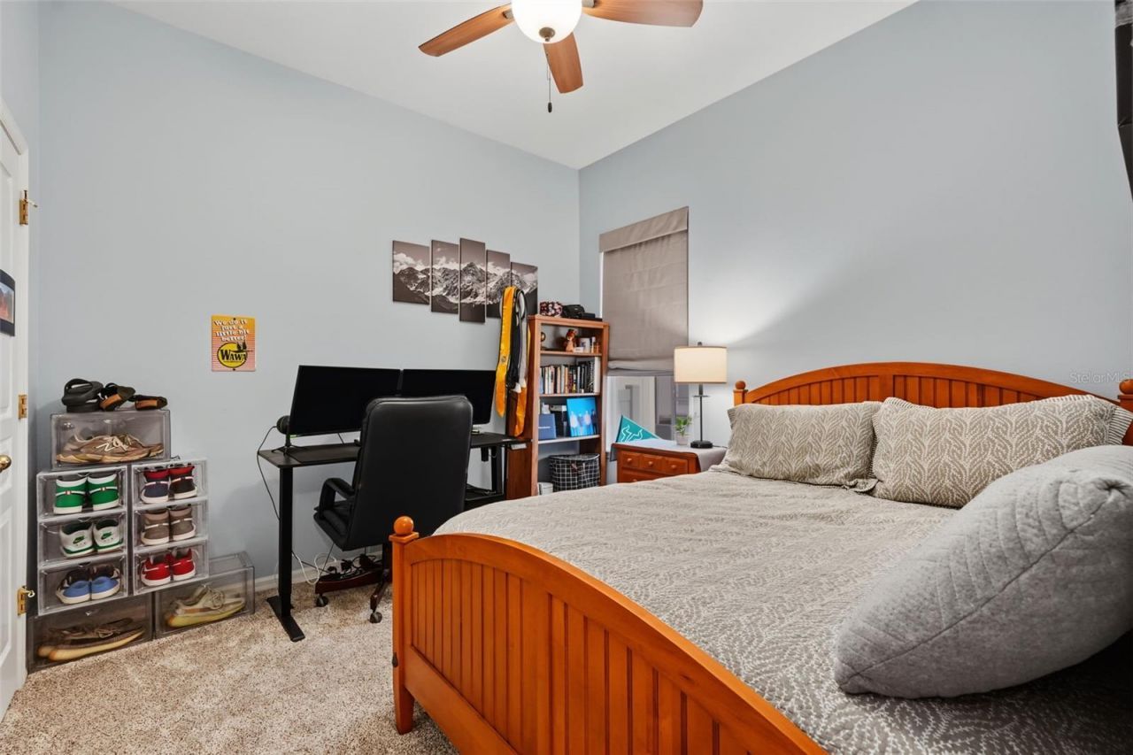 7504 Whispering Wind Drive , Land O Lakes, FL 34637 Photo