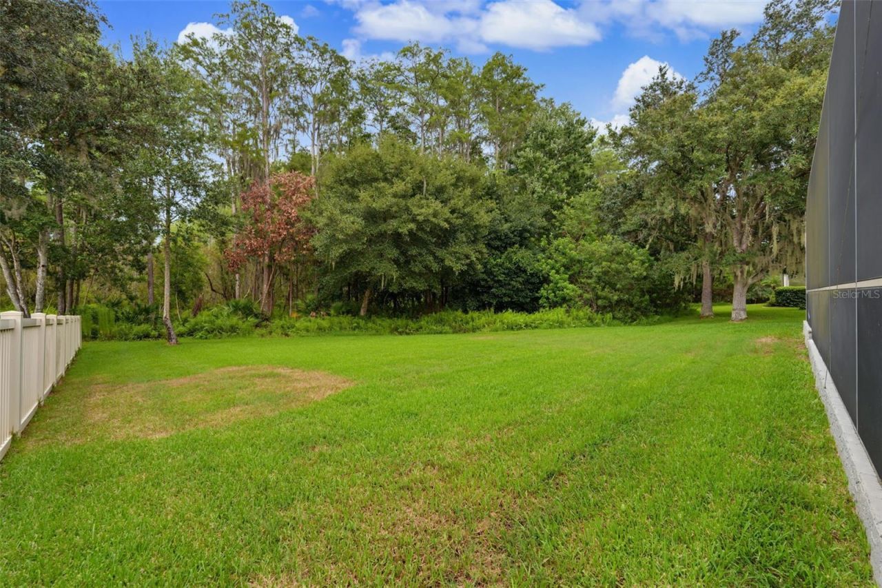 7504 Whispering Wind Drive , Land O Lakes, FL 34637 Photo