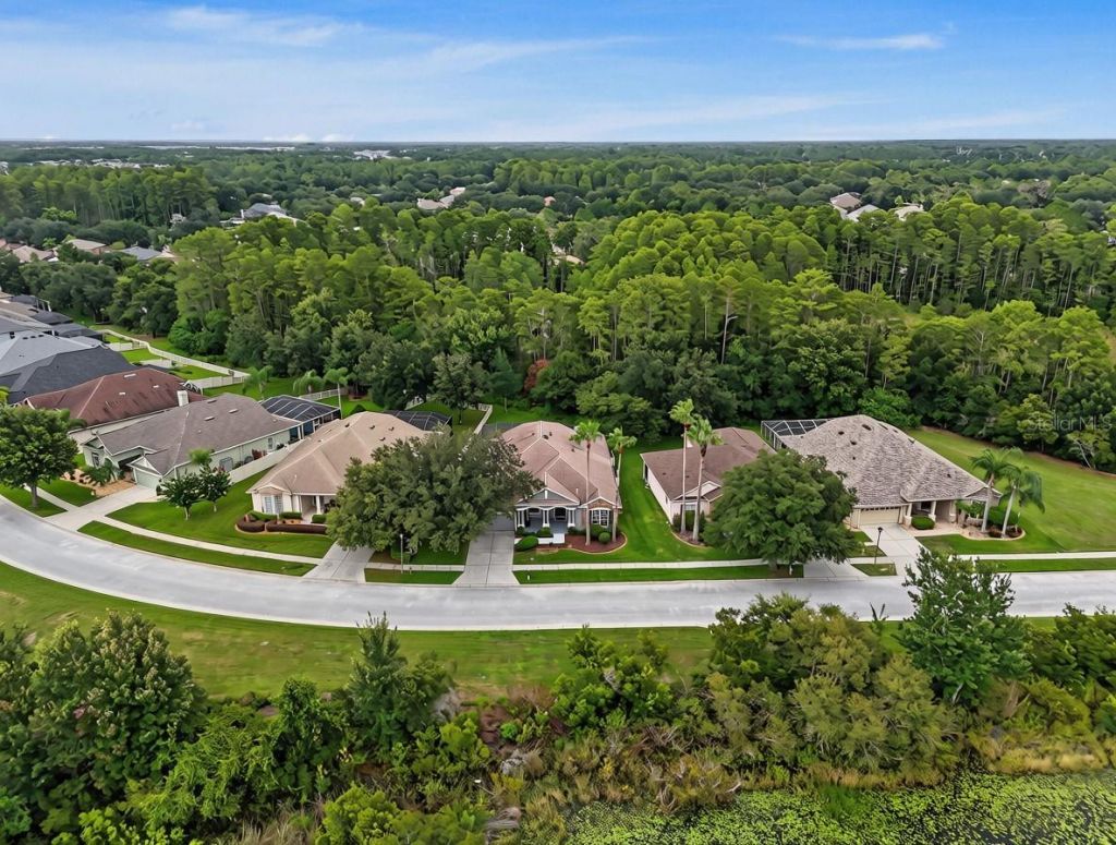 7504 Whispering Wind Drive , Land O Lakes, FL 34637 Photo
