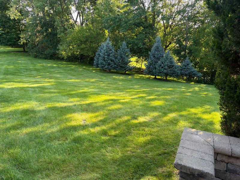 8088 Campbell Lane, Dublin, OH 43017 Photo 20