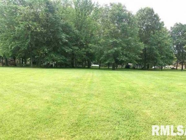 L3 Webb Court, Dawson, IL 62520