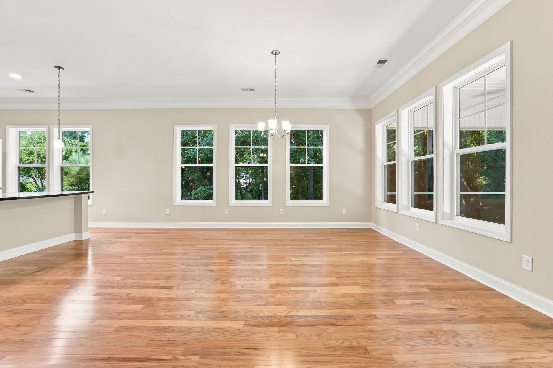242 Hyacinth Loop  Photo 13