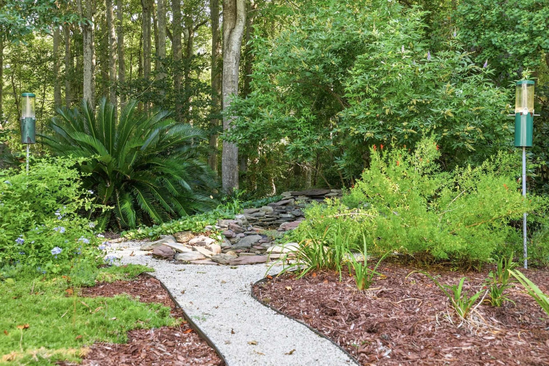 242 Hyacinth Loop  Photo 37