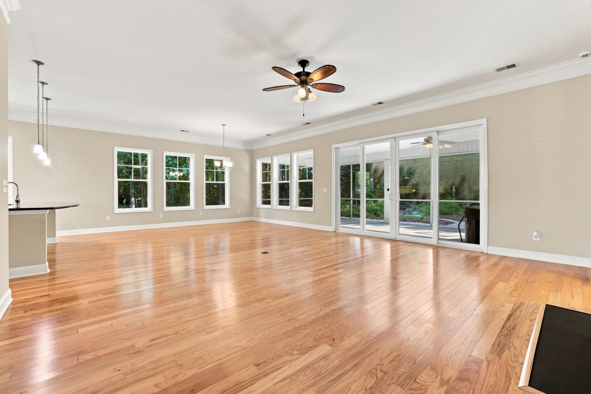 242 Hyacinth Loop  Photo 9