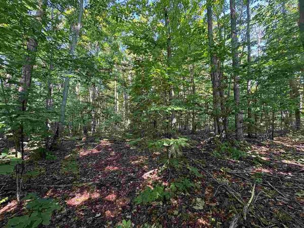 3443 Needles Drive, Harbor Springs, MI 49740