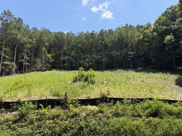 0 SW Banther Road, McDonald, TN 37353