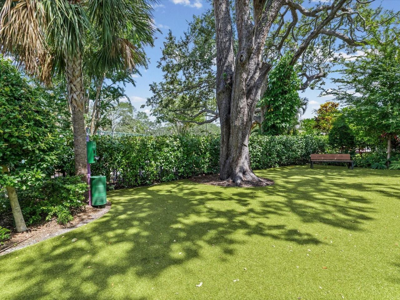 2619 Bayshore Boulevard, Unit 900, Tampa, FL 33629 Photo