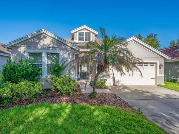 6105 GANNETSIDE PLACE , LITHIA, FL 33547