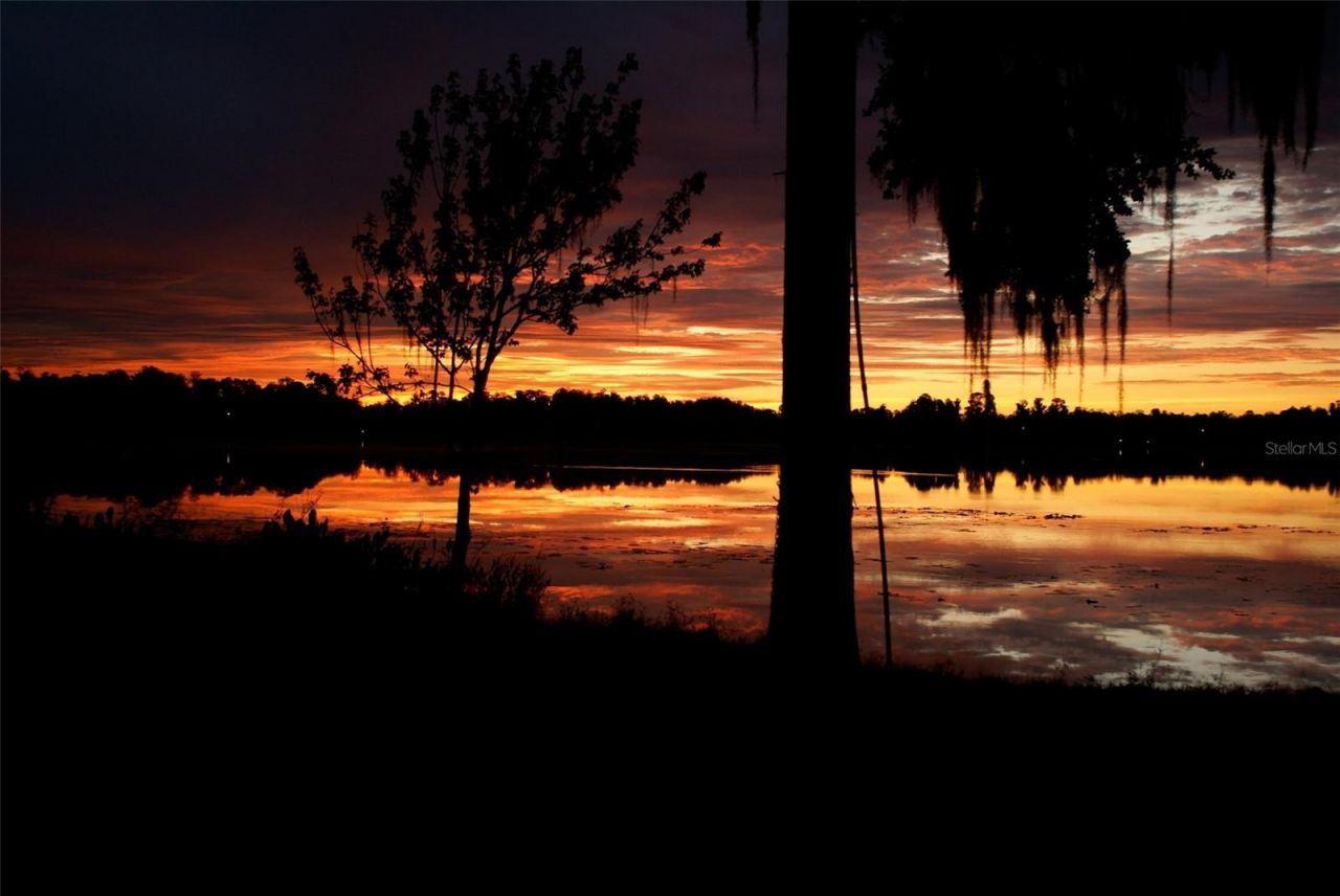 12120 Carver Avenue, New Port Richey, FL 34654 Photo