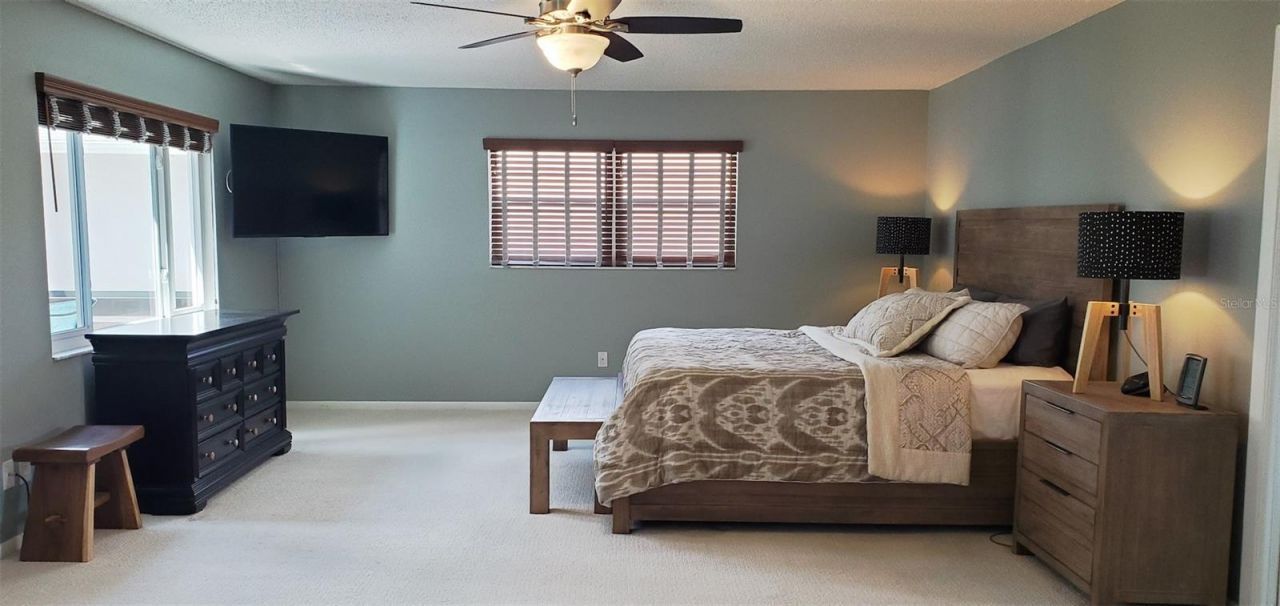 12120 Carver Avenue, New Port Richey, FL 34654 Photo