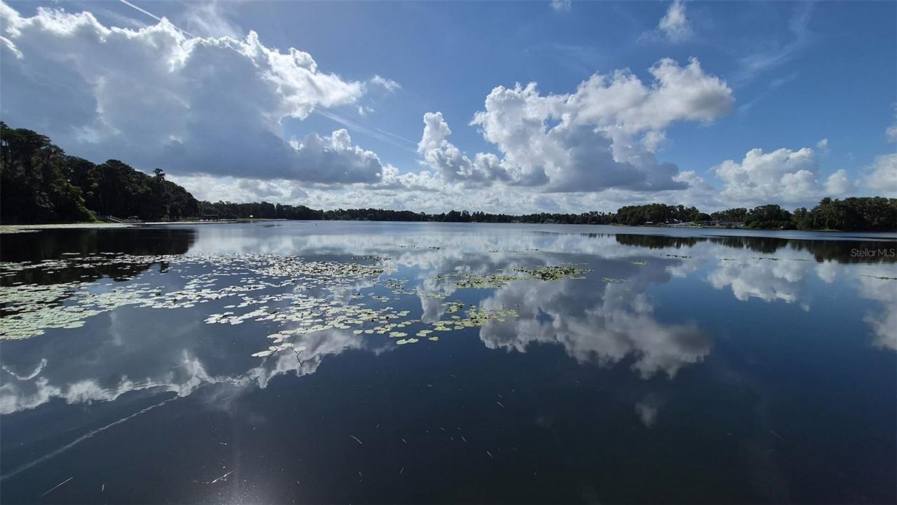 12120 Carver Avenue, New Port Richey, FL 34654 Photo