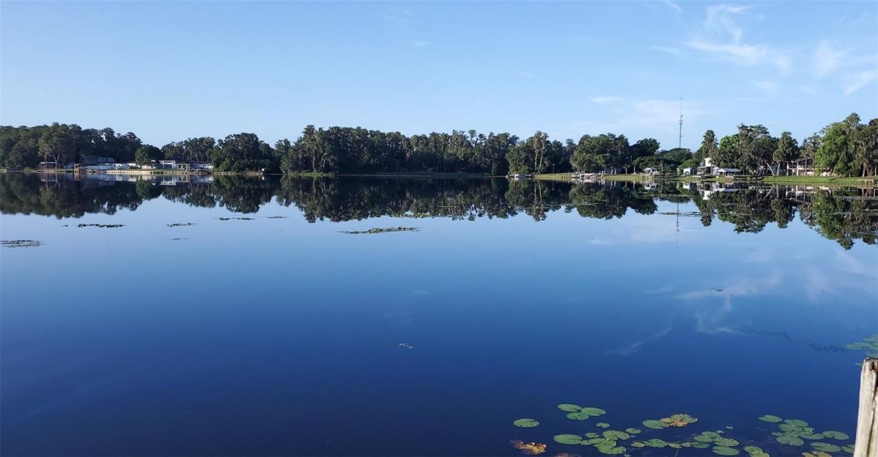 12120 Carver Avenue, New Port Richey, FL 34654 Photo