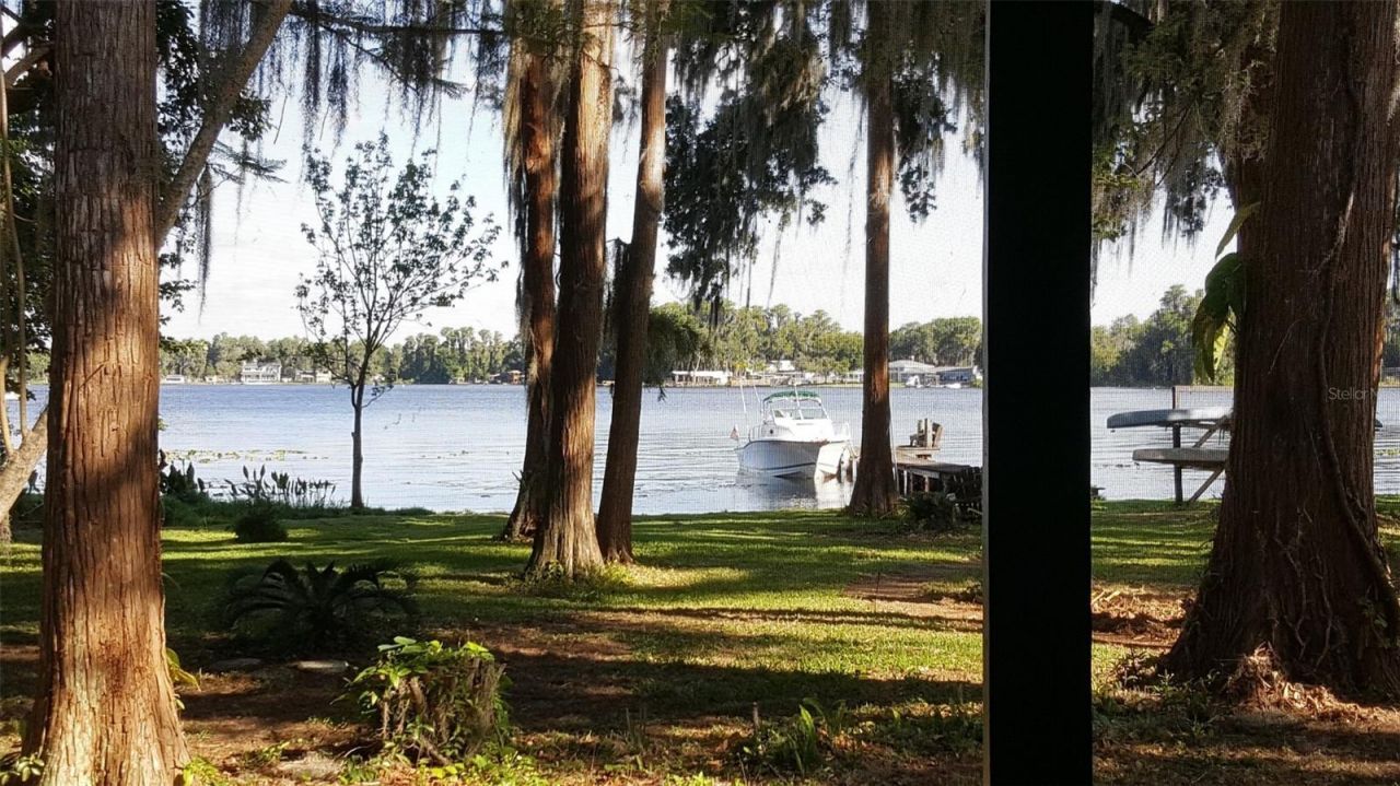 12120 Carver Avenue, New Port Richey, FL 34654 Photo
