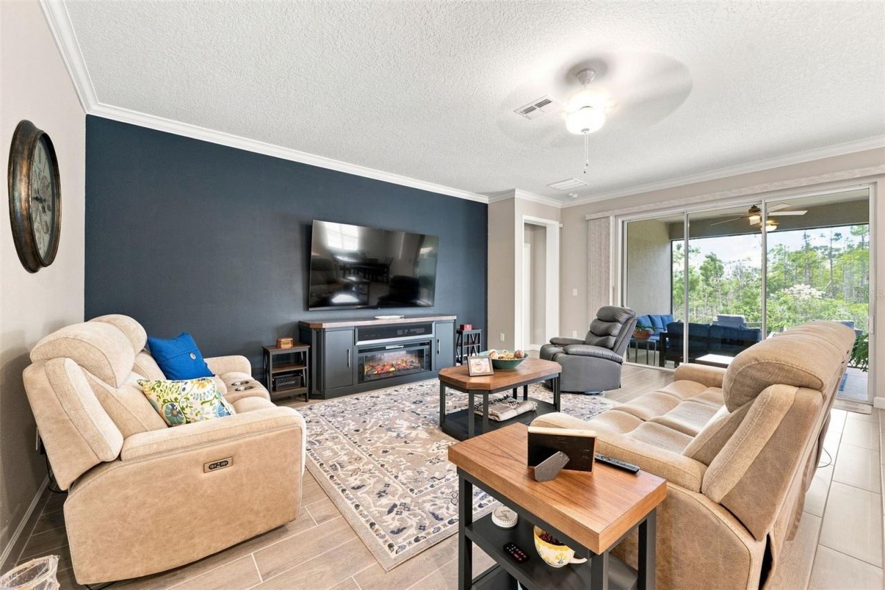 17254 Mango Shay Court, Land O Lakes, FL 34638 Photo
