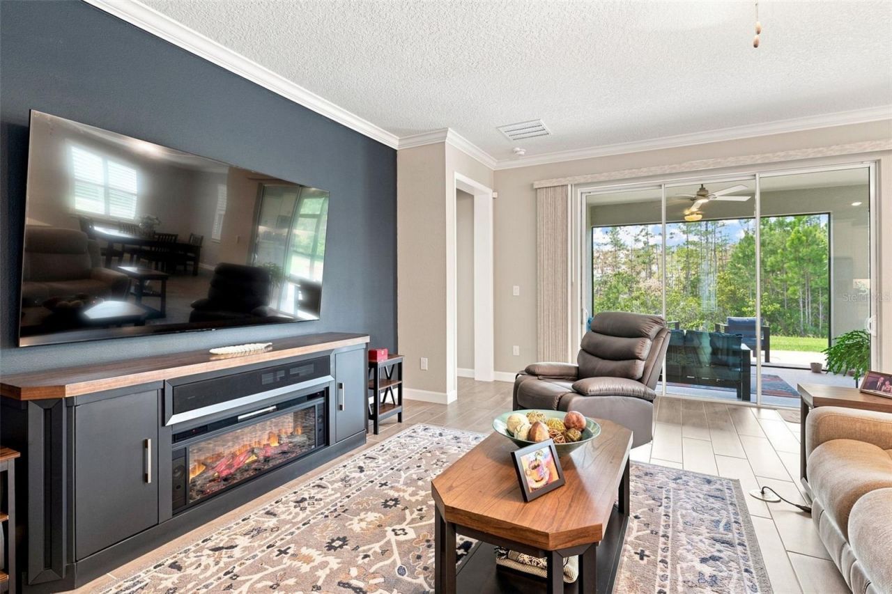 17254 Mango Shay Court, Land O Lakes, FL 34638 Photo