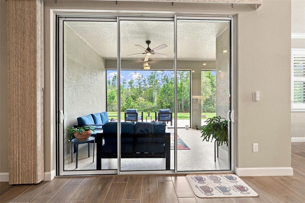 17254 Mango Shay Court, Land O Lakes, FL 34638 Photo