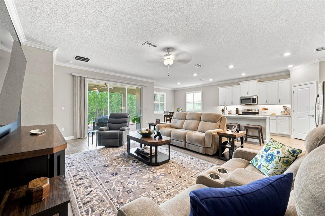 17254 Mango Shay Court, Land O Lakes, FL 34638 Photo