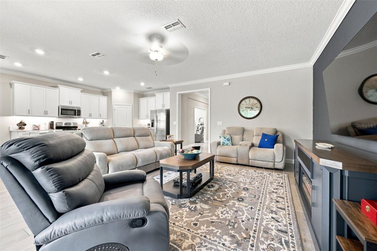17254 Mango Shay Court, Land O Lakes, FL 34638 Photo