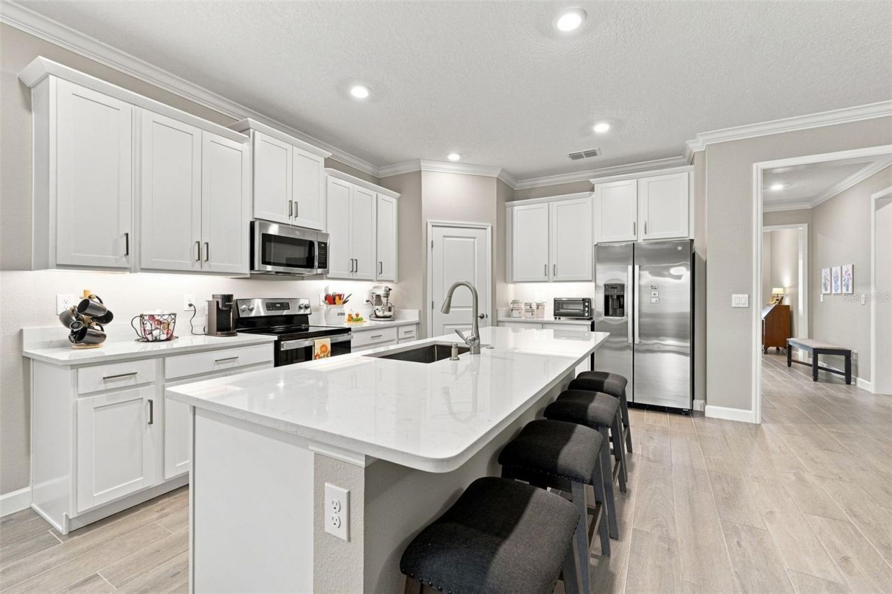 17254 Mango Shay Court, Land O Lakes, FL 34638 Photo