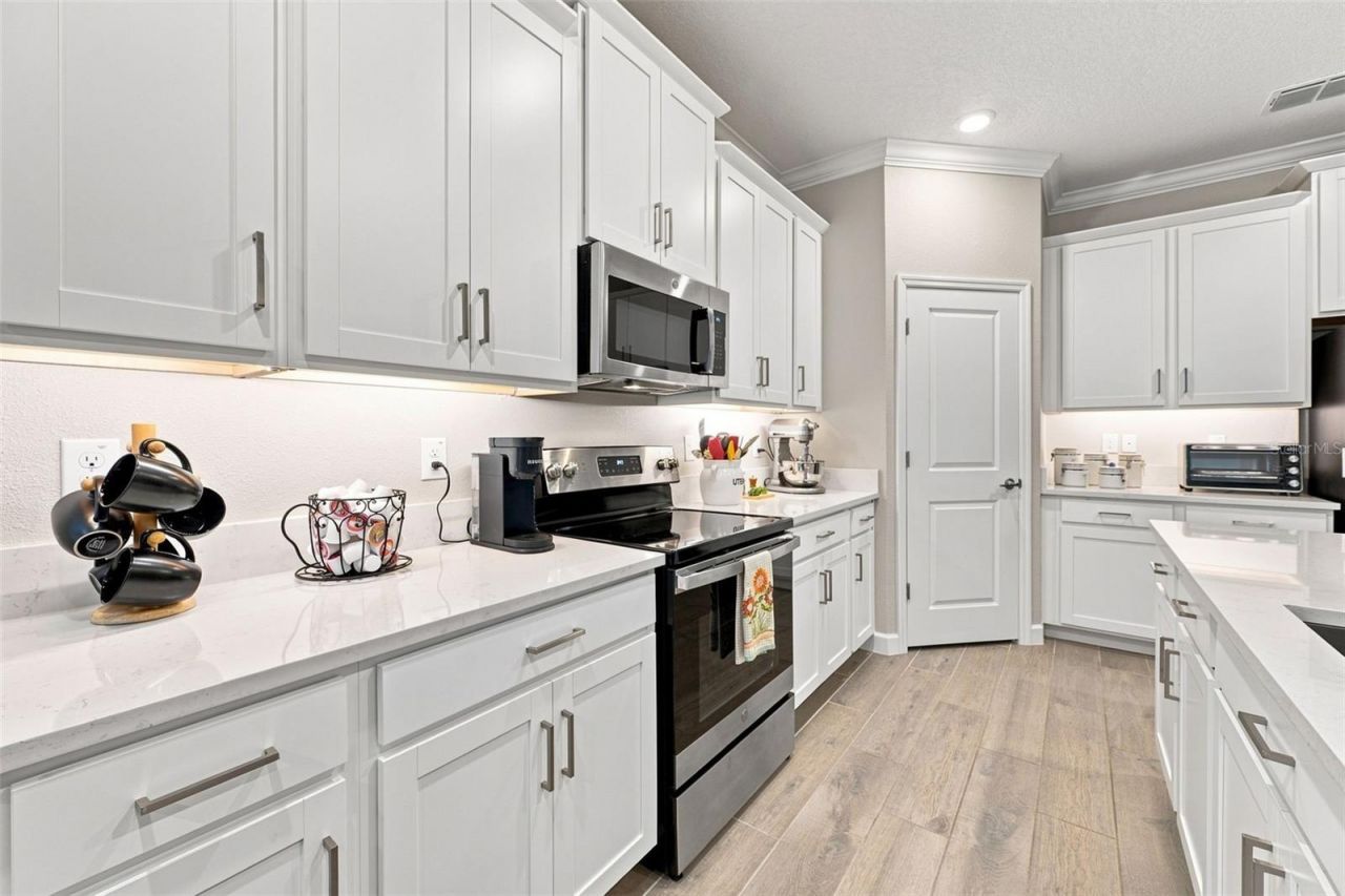 17254 Mango Shay Court, Land O Lakes, FL 34638 Photo