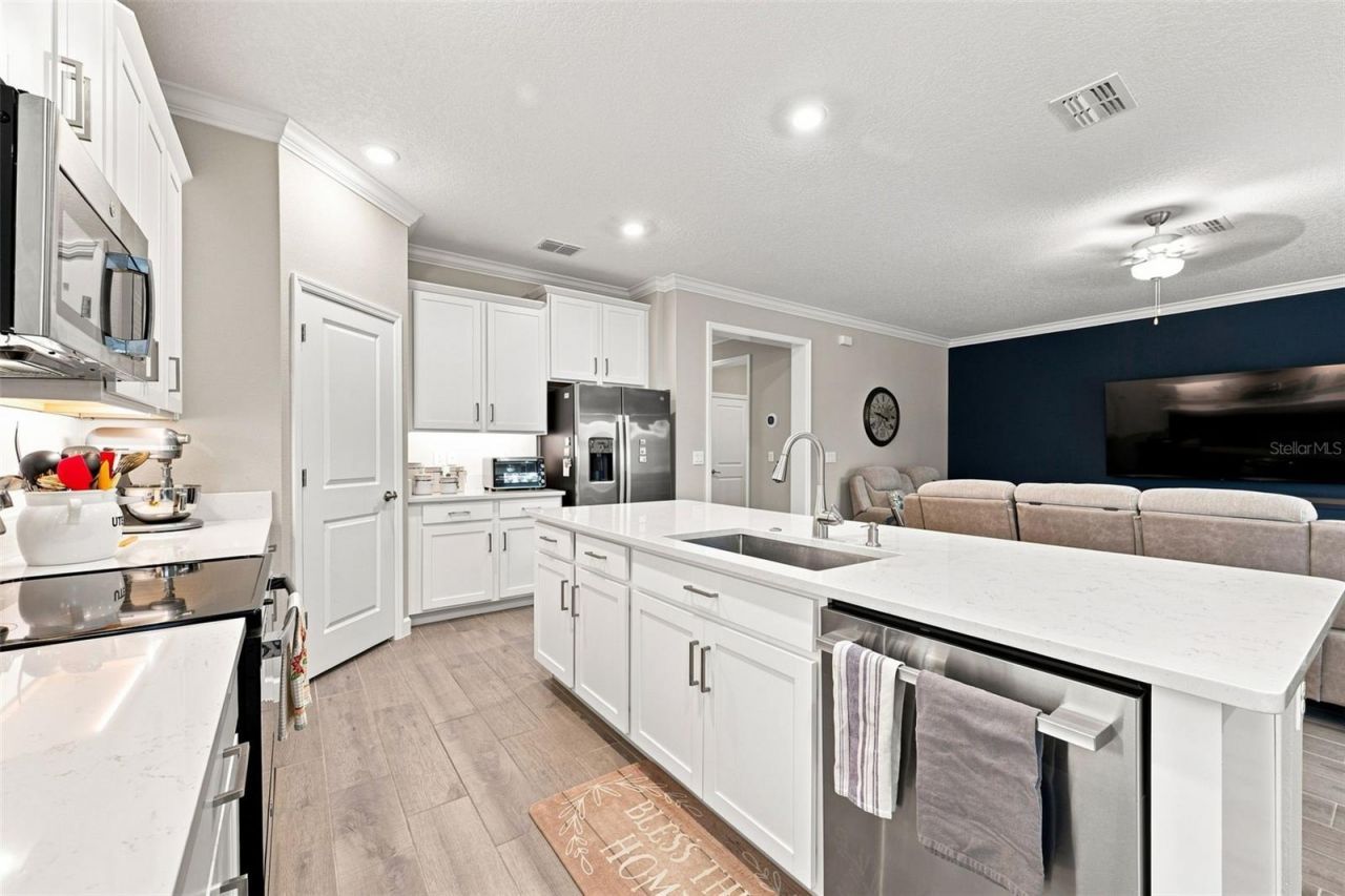 17254 Mango Shay Court, Land O Lakes, FL 34638 Photo
