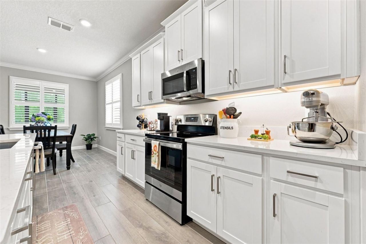 17254 Mango Shay Court, Land O Lakes, FL 34638 Photo