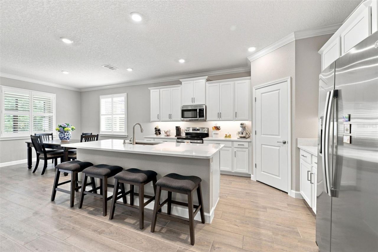 17254 Mango Shay Court, Land O Lakes, FL 34638 Photo