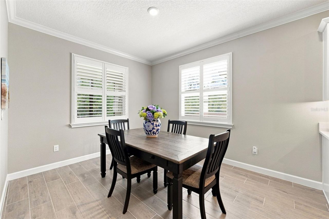 17254 Mango Shay Court, Land O Lakes, FL 34638 Photo