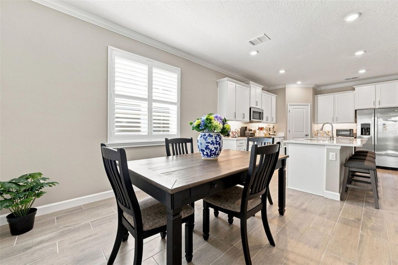 17254 Mango Shay Court, Land O Lakes, FL 34638 Photo